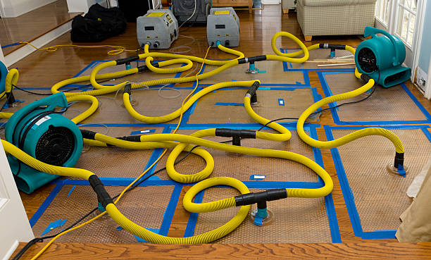 Professional Basement Flood Cleanup technician working in Little Mountain, SC